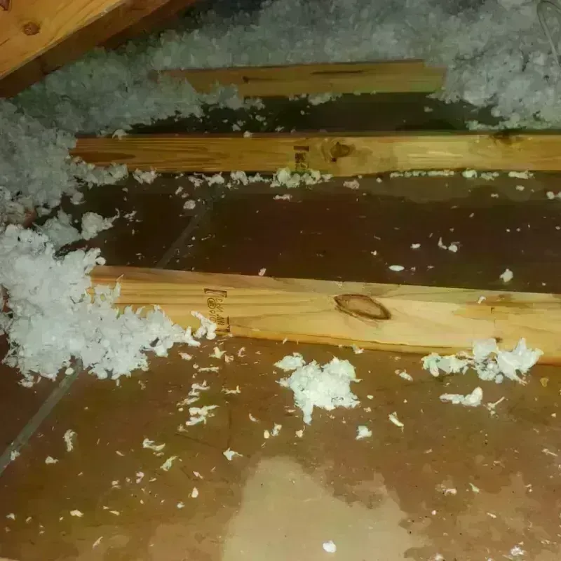 Attic Water Damage in Mower County, MN